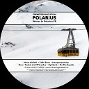 Polarius - Up North
