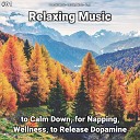 Peaceful Music Relaxing Music Yoga - Relaxing Music Pt 5