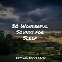 Relaxing Mindfulness Meditation Relaxation Maestro Tinnitus Aid Calming… - Stardust Wonders