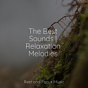 Tranquil Music Sound of Nature Soothing White Noise for Infant Sleeping and Massage Reiki… - Warmth of the Sun