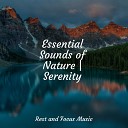 Chakra Balancing Sound Therapy Musica Para Dormir y Sonidos de la Naturaleza Soothing Chill Out for… - Cosmic Serenity