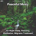 Peaceful Music Relaxing Music Yoga - Peaceful Music Pt 5