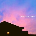 Mellow dive - looking at a long gone summer snapshot