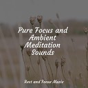 Meditation Relaxation Club Guided Meditation Music Zone Schlaflieder Fur… - Dreamscape Blossoms