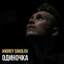 SOKOLOV ANDREY - Одиночка