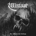 Wintaar - We Are Born To Fly