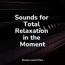 Peaceful Piano Chillout Klassisk Musik Orkester Relaxing Piano Jazz Music… - A Quiet Symphony