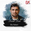 Talib Tale - Ola xeberi