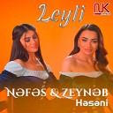 N f s feat Zeyn b H s ni - Leyli