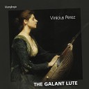 Vin cius Perez Wolfgang Amadeus Mozart - 1 Allegro