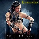 P N E V M A project - Romanlar