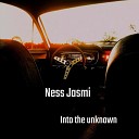 Ness Jasmi - Synchronicity