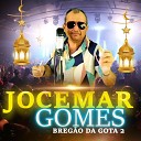 Jocemar Gomes - Passarinho Voador