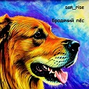 san rise - Бродячий пес