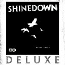 Shinedown - The Crow The Butterfly Pull Remix