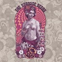 The Strange Seeds - Have You Ever