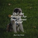 Music for Pets Library Sleep Music For Dogs Jazz Music Therapy for… - Counting Sheep