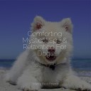 Music for Pets Library Music for Dog s Ears Relaxation Music For… - Sleep Music
