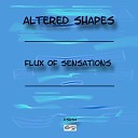 Flux Of Sensations - Challenging Times