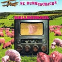 Se Bummtschacks - Schon als Kinner Schei e Halldeimaul 1998