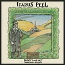 Icarus Peel - Something I Should Say