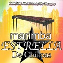 Marimba Estrella de Chiapas - El Perico de Mi Suegra