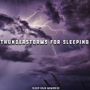 Sleep Rain Memories - Windy Wetlands Rainstorm