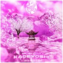 Beevrex feat TOYO REQUIEM - Kageyoshi Original mix