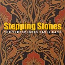 The Terraplanes Blues Band - Don t Do Me Wrong