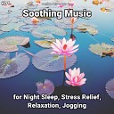 Deep Sleep Relaxing Music Yoga - Soothing Music Pt 50