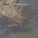 Trico - A Thousand Eyes