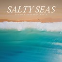 Sea Waves Sounds - Saltwater Soak