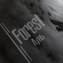 Лунь - Forest