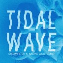 DREAMFILTER feat Nadine Wild Palmer - Tidal Wave