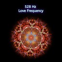 Emiliano Bruguera - 528 Hz Activate Self Healing