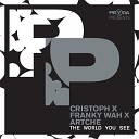 Cristoph feat Franky Wah Artche - The World You See