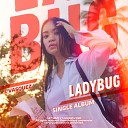 L Vasquez - Ladybug