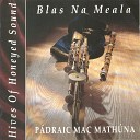 Pádraic Mac Mathúna - The Parting Glass