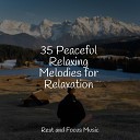 Relaxation Music Guru Mindfulness Meditation World Rising Higher… - Contemplation