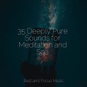 Meditation Yoga Soul Sleep Songs 101 - Focus and Flow