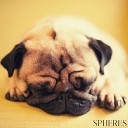 Spheres - Sleepy Pug ASMR