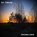 Dr Cikoriy - Лесная лиса