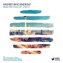 Andree Wischnewski - Make Me Crazy Die H henregler Remix