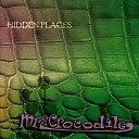 Mrz Crocodile - Coloured Lights