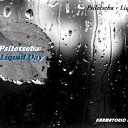 Psilotseba - Liquid Day