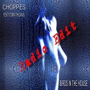 Choppes feat Tomm Thomas - Birds in the House Radio Edit
