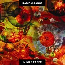 Radio Orange - Mind Reader
