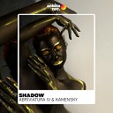Abriviatura IV Kamensky - Shadow