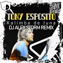 Tony Esposito - Kalimba de Luna DJ Alex Storm Remix Radio…