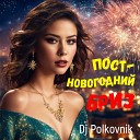 DJ Polkovnik - Постновогодний бриз 2024 01